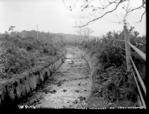 Plymouth leat at Roborough Down