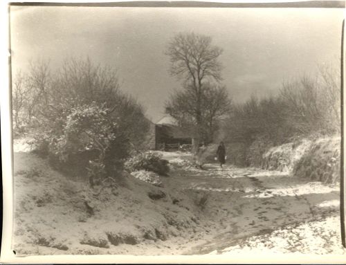 Snowy lane