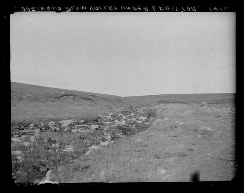 Looking up Plym Valley under Legis Tor.  