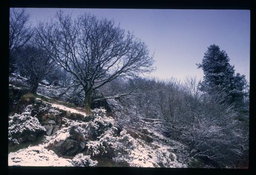 An image from the Dartmoor Trust Archive