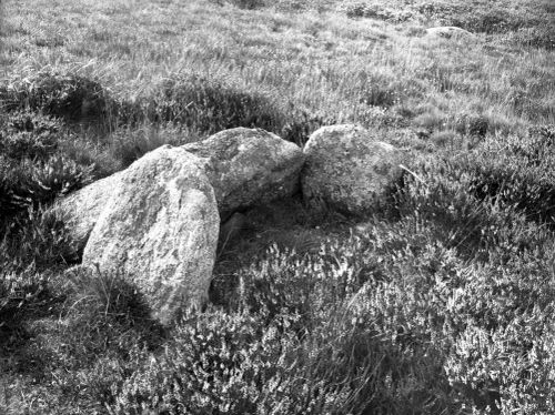 An image from the Dartmoor Trust Archive