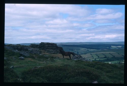 An image from the Dartmoor Trust Archive