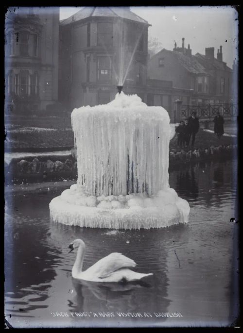 Swan and fountain, Dawlish