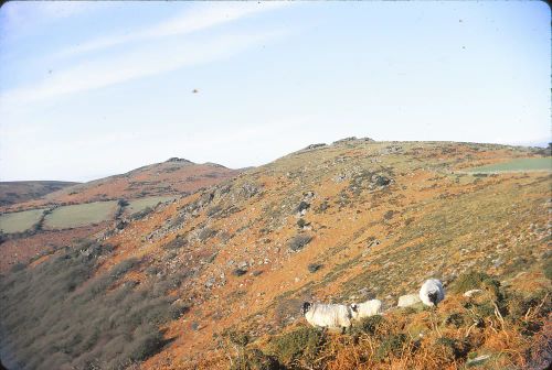 Mel Tor & Sharp Tor