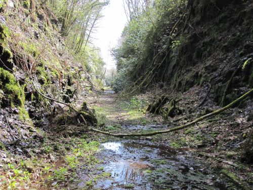 Disused Railway Trackbed