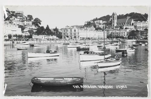 The Harbour Torquay