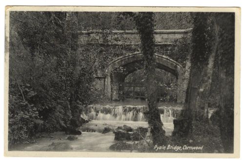 Pyale bridge, Cornwood