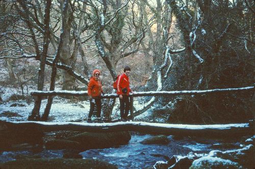 An image from the Dartmoor Trust Archive