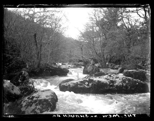 The Mew on the River Meavy