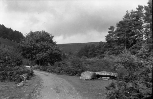 An image from the Dartmoor Trust Archive