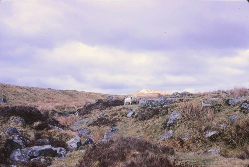 An image from the Dartmoor Trust Archive