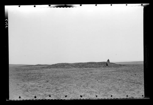 Tumulus on Ringmoor Down