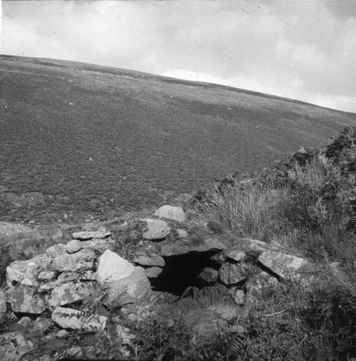 An image from the Dartmoor Trust Archive