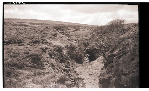 Shavercombe Brook