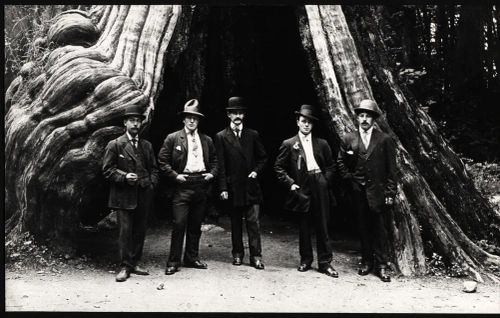 Local men in Canada by famous redwood tree