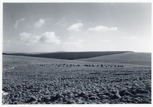 An image from the Dartmoor Trust Archive