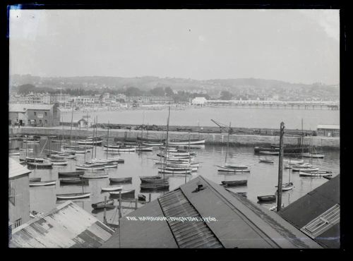 Harbour, Paignton