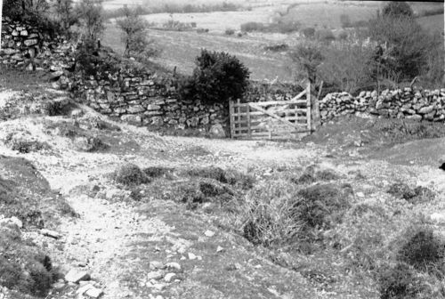 An image from the Dartmoor Trust Archive