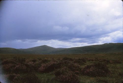 Taw Marsh & Steeperton Tor