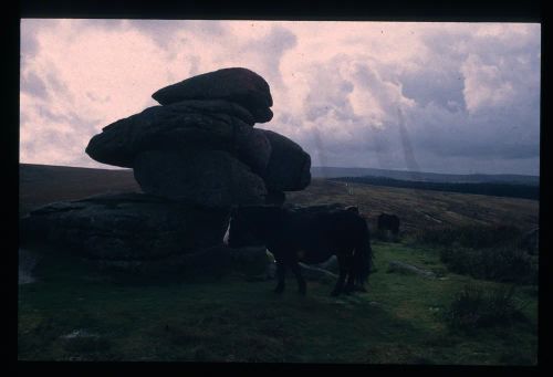 An image from the Dartmoor Trust Archive