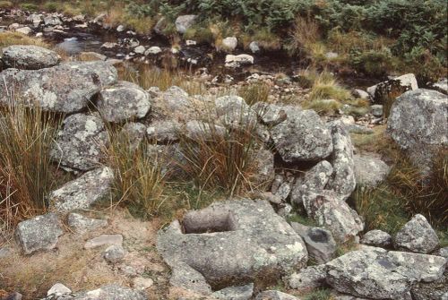 An image from the Dartmoor Trust Archive