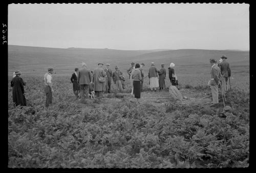 The Devonshire Association at Drizzlecombe