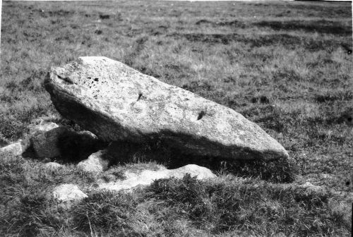 An image from the Dartmoor Trust Archive