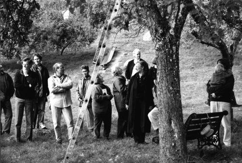 Lustleigh villagers awaiting identification of apple varieties during a Lustleigh Apple Day