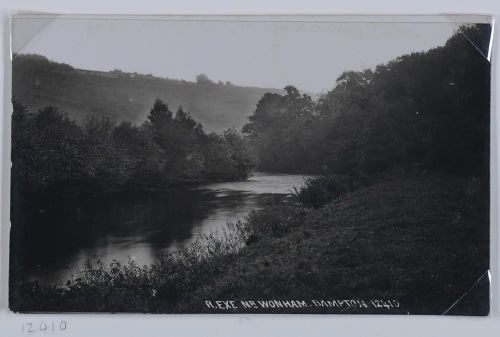 River Exe near Wonham