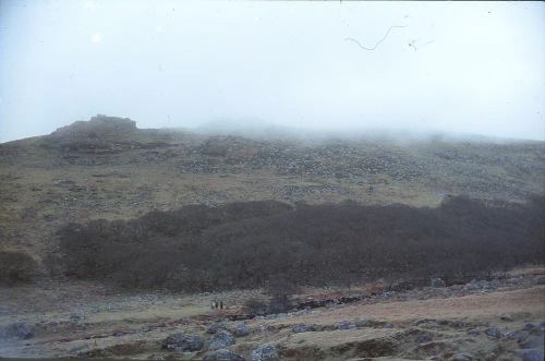 Black Tor Beare and Black Tor