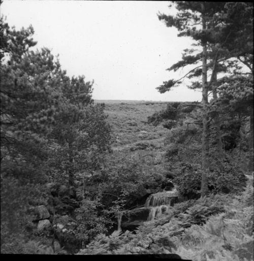 An image from the Dartmoor Trust Archive