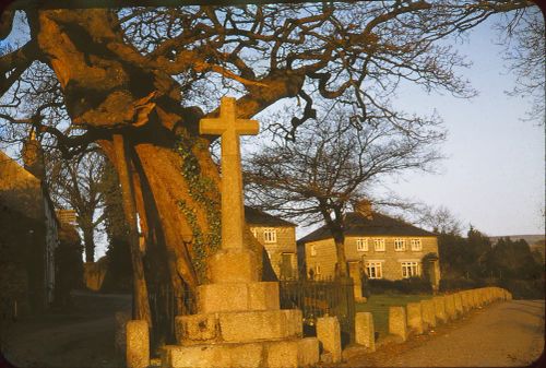 Meavy Cross and Oak