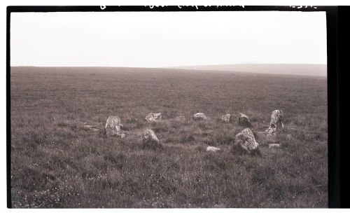 Stone Circle on Ringmoor Down