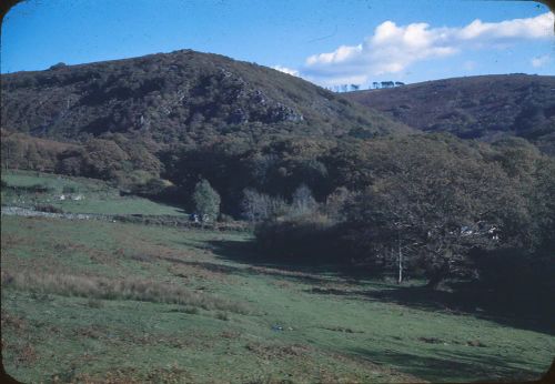 Dewerstone and Shaugh Moor