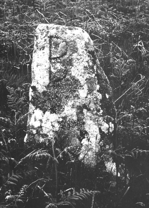 Manaton Boundary Stone