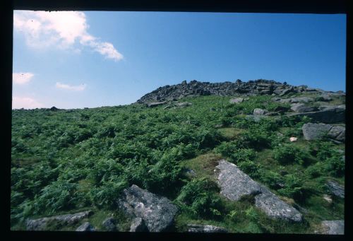 An image from the Dartmoor Trust Archive