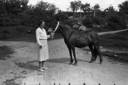 An image from the Dartmoor Trust Archive