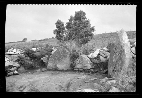 Metherall hut circle at Fernworthy