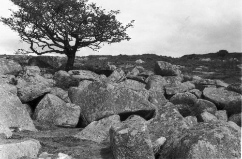 An image from the Dartmoor Trust Archive