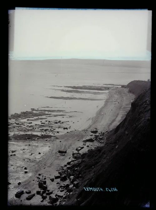 Coastal view, Exmouth