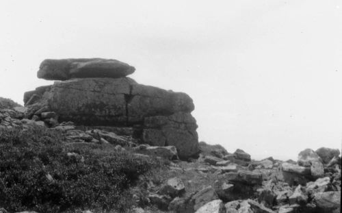 An image from the Dartmoor Trust Archive