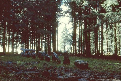 An image from the Dartmoor Trust Archive