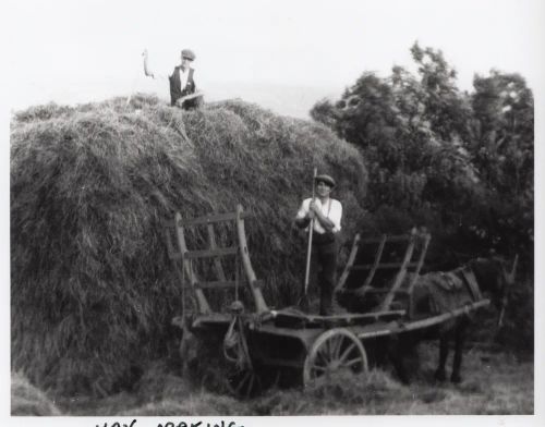 An image from the Dartmoor Trust Archive