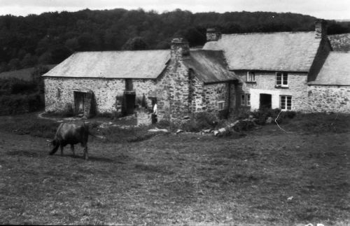 An image from the Dartmoor Trust Archive