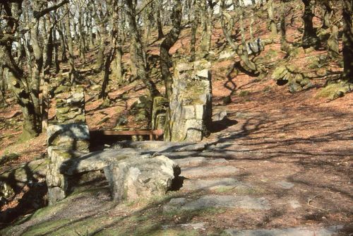 An image from the Dartmoor Trust Archive