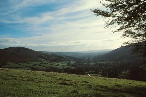 An image from the Dartmoor Trust Archive