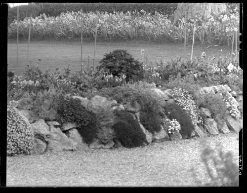 Garden at Oakley, Plympton