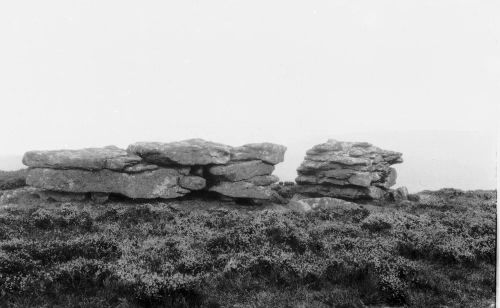 An image from the Dartmoor Trust Archive