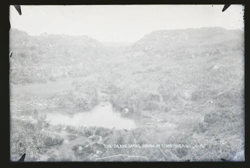 The Deancombe Brook, Combeshead, Sheepstor