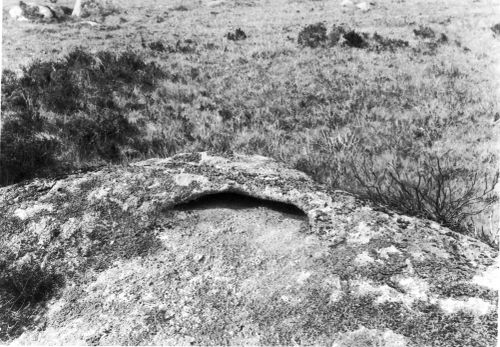 An image from the Dartmoor Trust Archive